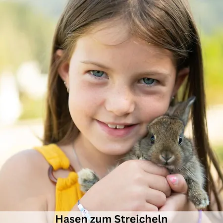 Viola Altenmarkt Apartment *