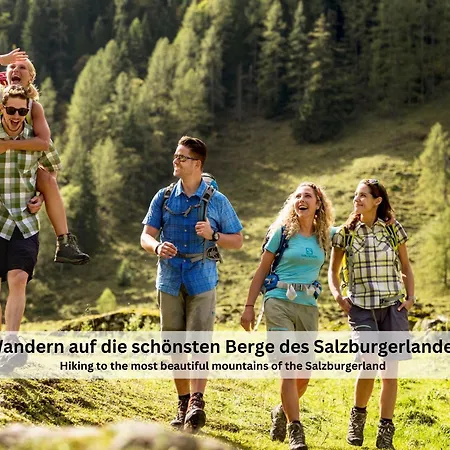 Viola Altenmarkt アパート