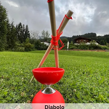 Viola Altenmarkt التنماركت ام بوناغ